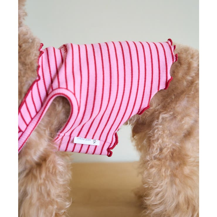 【DOG】マルチメロウボーダートップス/リンクコーデ | ROPE' PICNIC | 詳細画像6 