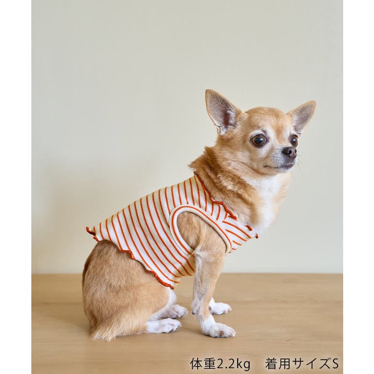 【DOG】マルチメロウボーダートップス/リンクコーデ | ROPE' PICNIC | 詳細画像8 