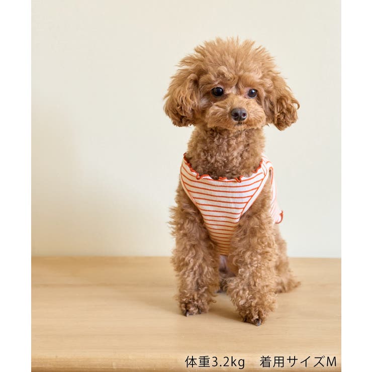 【DOG】マルチメロウボーダートップス/リンクコーデ | ROPE' PICNIC | 詳細画像9 