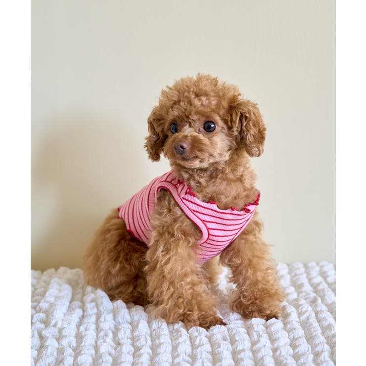 ピンク(63) | 【DOG】マルチメロウボーダートップス/リンクコーデ | ROPE' PICNIC