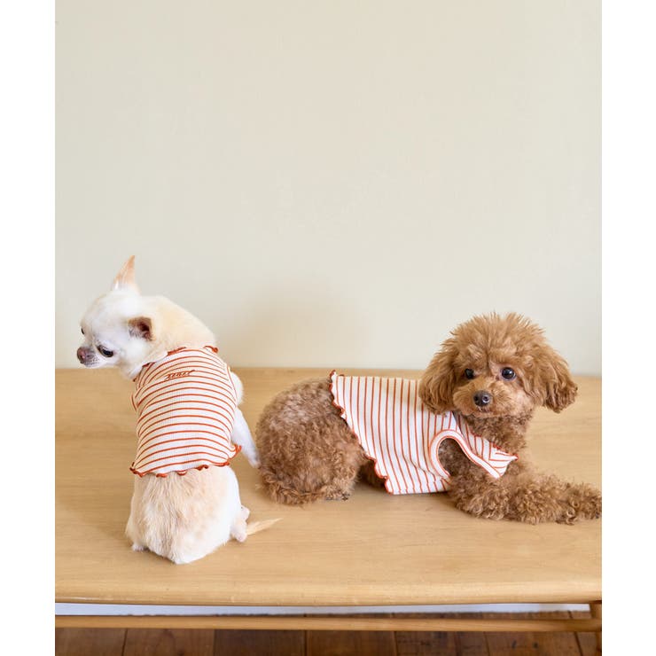 オレンジ系(71) | 【DOG】マルチメロウボーダートップス/リンクコーデ | ROPE' PICNIC