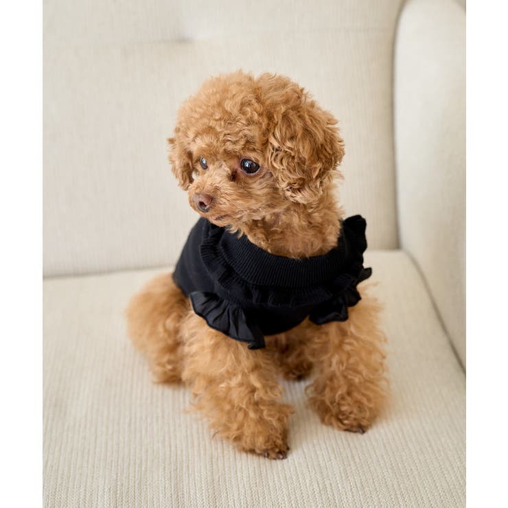 ブラック(01) | 【DOG】袖プリ－ツニットプルオーバー/リンクコーデ | ROPE' PICNIC