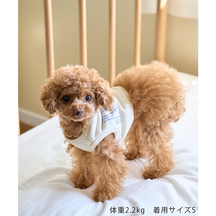 【DOG】クロップドロゴスウェット/リンクコーデ | ROPE' PICNIC | 詳細画像2 