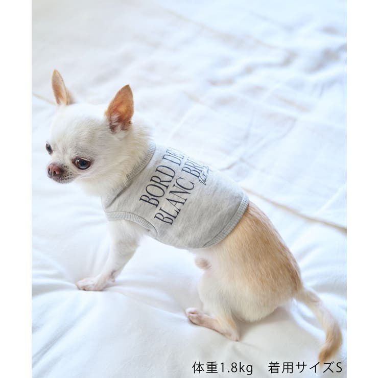 【DOG】クロップドロゴスウェット/リンクコーデ | ROPE' PICNIC | 詳細画像4 