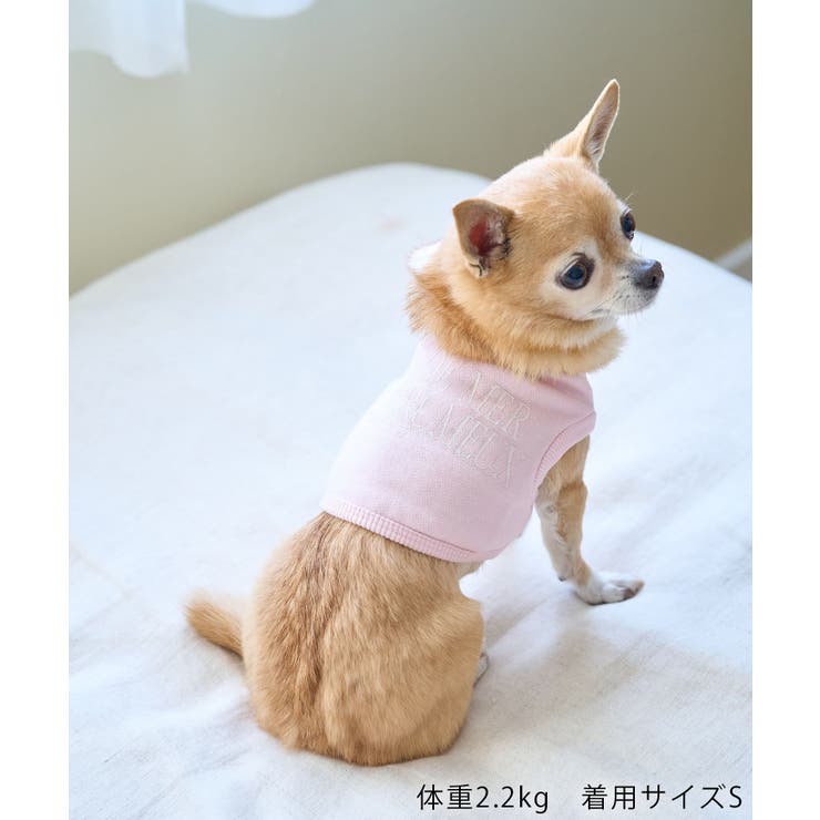 【DOG】クロップドロゴスウェット/リンクコーデ | ROPE' PICNIC | 詳細画像6 