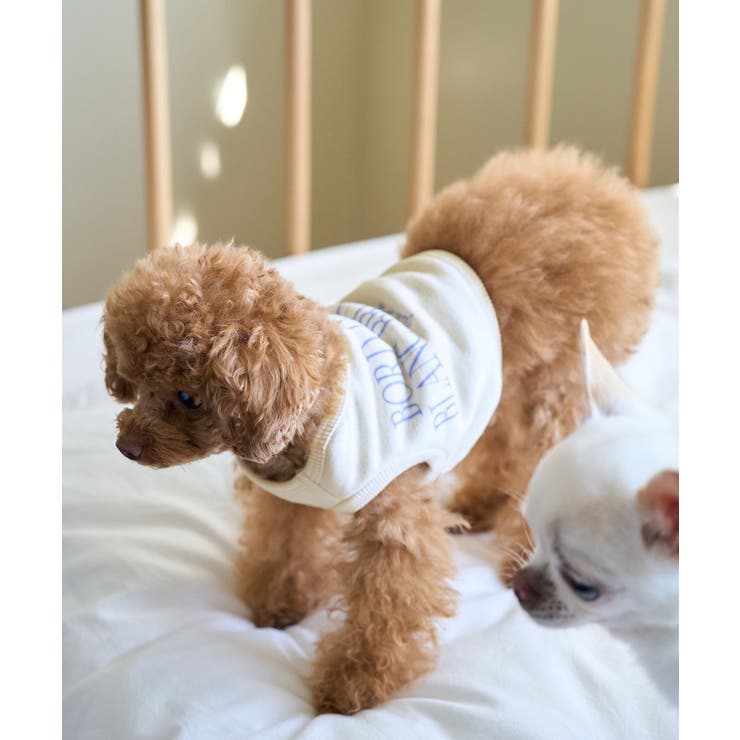 キナリ系(17) | 【DOG】クロップドロゴスウェット/リンクコーデ | ROPE' PICNIC