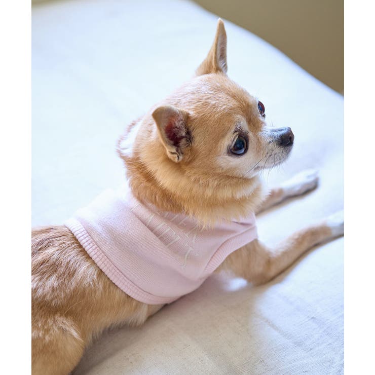 ピンク(63) | 【DOG】クロップドロゴスウェット/リンクコーデ | ROPE' PICNIC