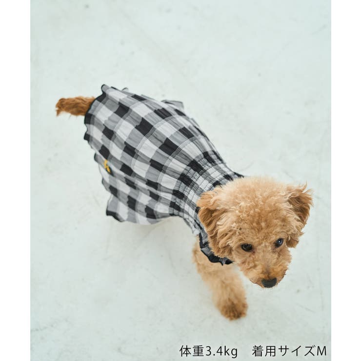 【DOG】ギンガムチェック柄ワンピース | ROPE' PICNIC | 詳細画像3 