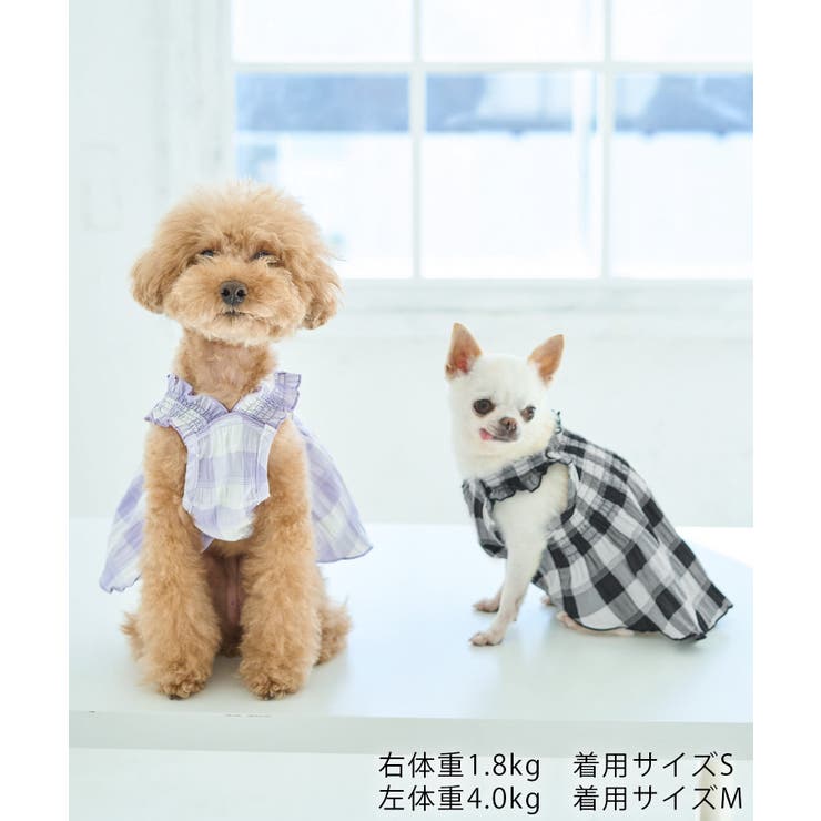 【DOG】ギンガムチェック柄ワンピース | ROPE' PICNIC | 詳細画像6 