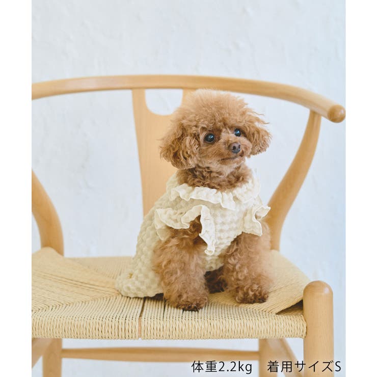 【DOG】ぽこぽこギャザーワンピース | ROPE' PICNIC | 詳細画像2 