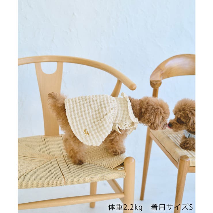 【DOG】ぽこぽこギャザーワンピース | ROPE' PICNIC | 詳細画像3 