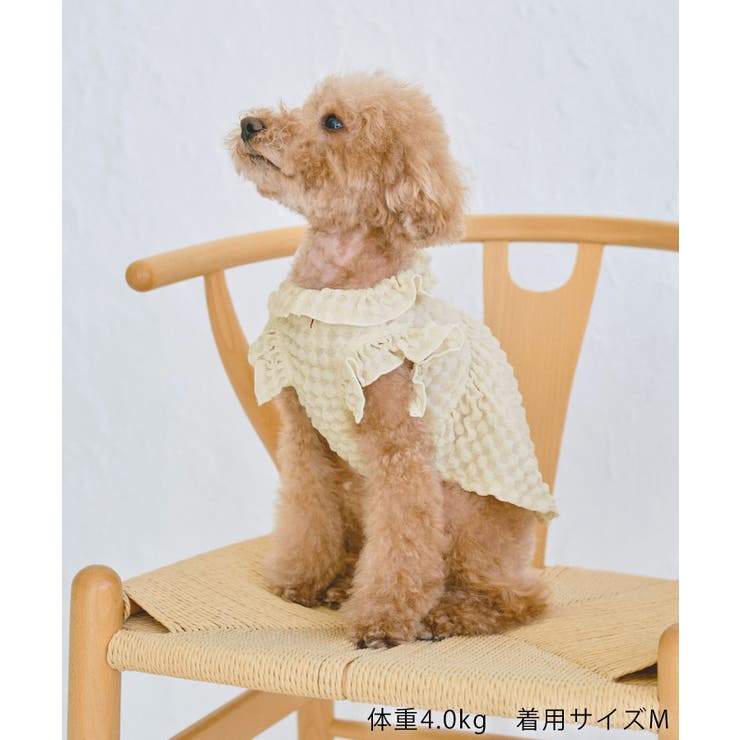 【DOG】ぽこぽこギャザーワンピース | ROPE' PICNIC | 詳細画像4 