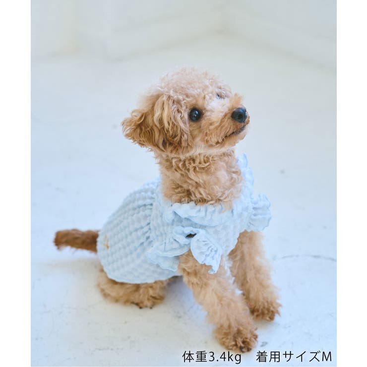 【DOG】ぽこぽこギャザーワンピース | ROPE' PICNIC | 詳細画像6 