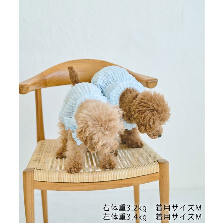 【DOG】ぽこぽこギャザーワンピース | ROPE' PICNIC | 詳細画像8 