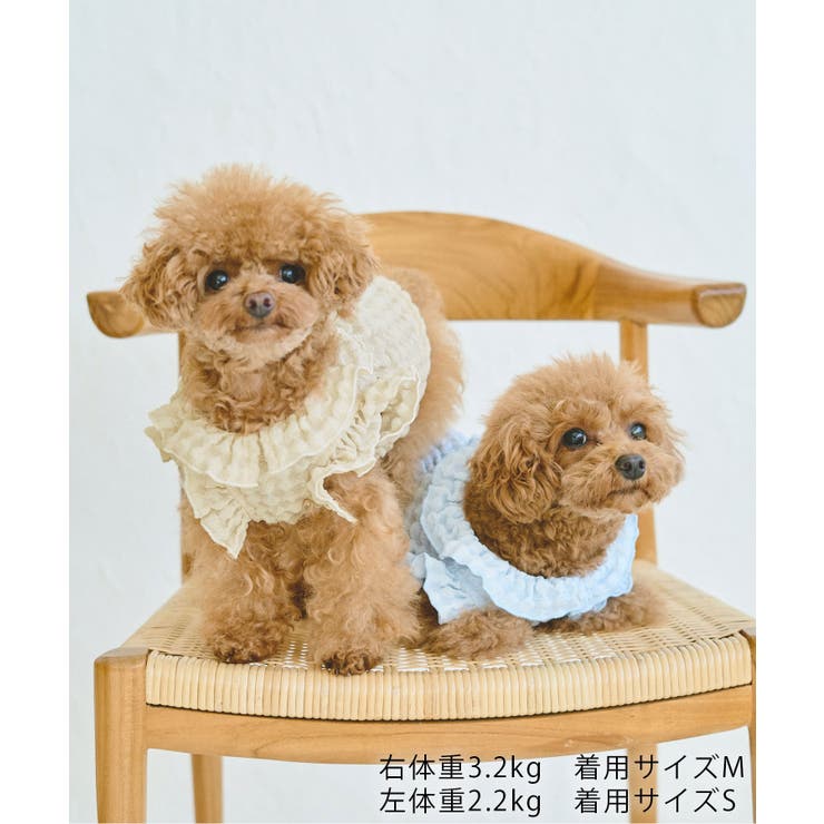 【DOG】ぽこぽこギャザーワンピース | ROPE' PICNIC | 詳細画像9 