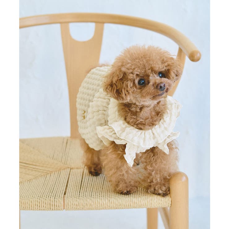 キナリ(16) | 【DOG】ぽこぽこギャザーワンピース | ROPE' PICNIC