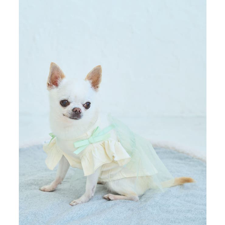 【DOG】キャミチュールドッキングワンピース | ROPE' PICNIC | 詳細画像11 