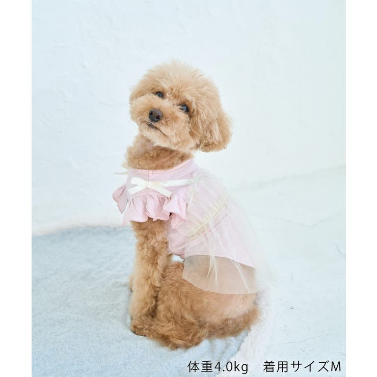 【DOG】キャミチュールドッキングワンピース | ROPE' PICNIC | 詳細画像14 