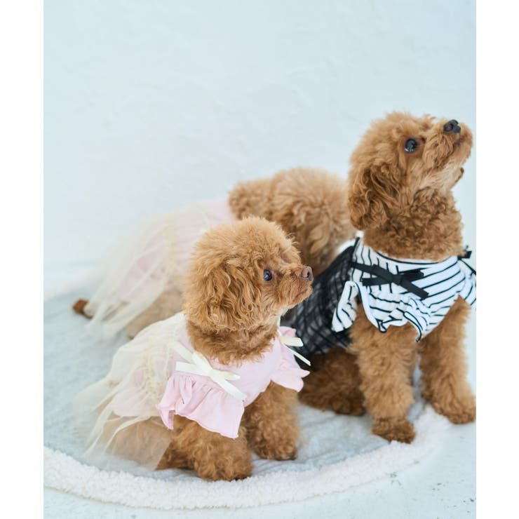 【DOG】キャミチュールドッキングワンピース | ROPE' PICNIC | 詳細画像16 