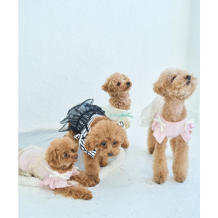 【DOG】キャミチュールドッキングワンピース | ROPE' PICNIC | 詳細画像17 