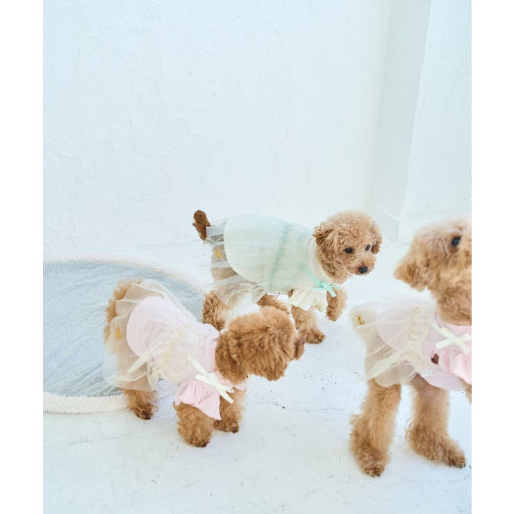 【DOG】キャミチュールドッキングワンピース | ROPE' PICNIC | 詳細画像18 