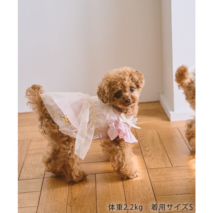 【DOG】キャミチュールドッキングワンピース | ROPE' PICNIC | 詳細画像5 