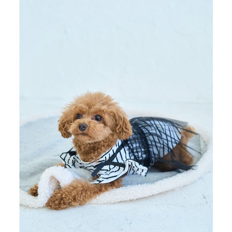 【DOG】キャミチュールドッキングワンピース | ROPE' PICNIC | 詳細画像8 