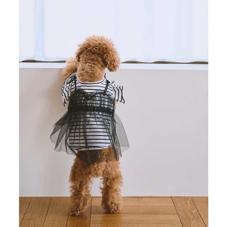 ブラック(01) | 【DOG】キャミチュールドッキングワンピース | ROPE' PICNIC