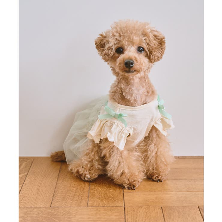 キミドリ(34) | 【DOG】キャミチュールドッキングワンピース | ROPE' PICNIC