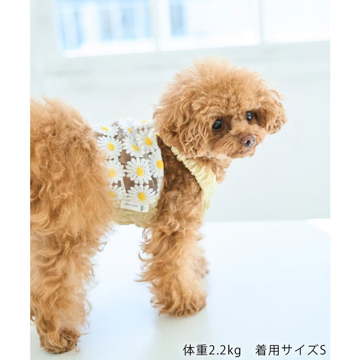 【DOG】フラワーキャミソール | ROPE' PICNIC | 詳細画像2 