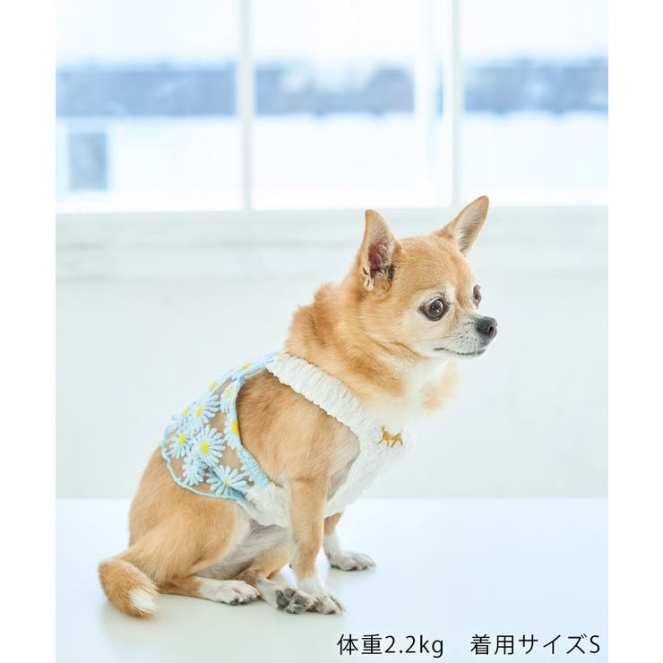 【DOG】フラワーキャミソール | ROPE' PICNIC | 詳細画像4 