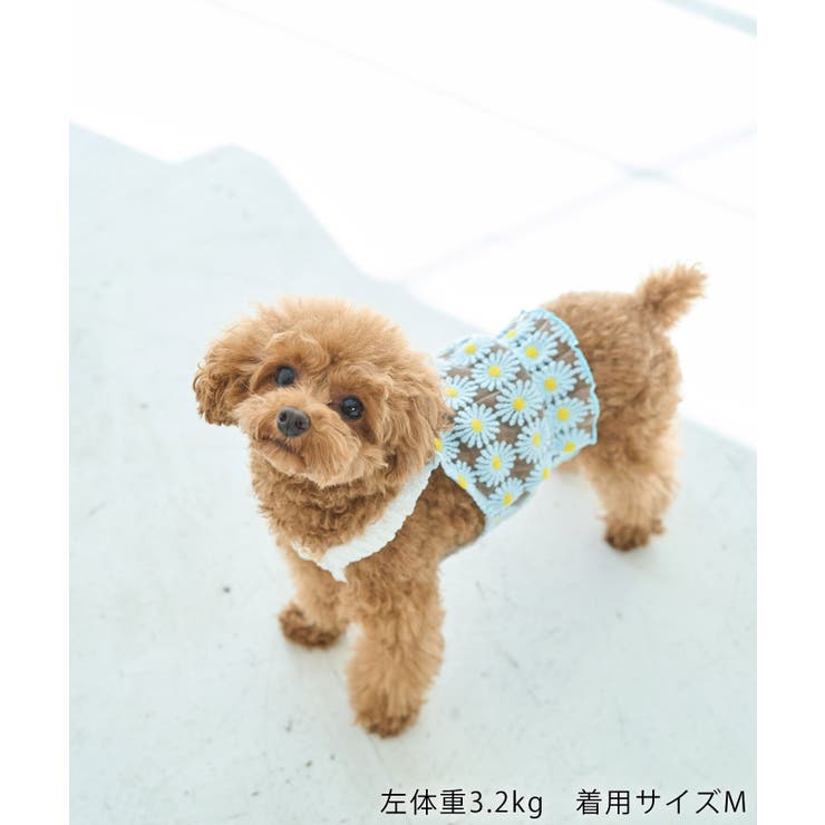 【DOG】フラワーキャミソール | ROPE' PICNIC | 詳細画像7 