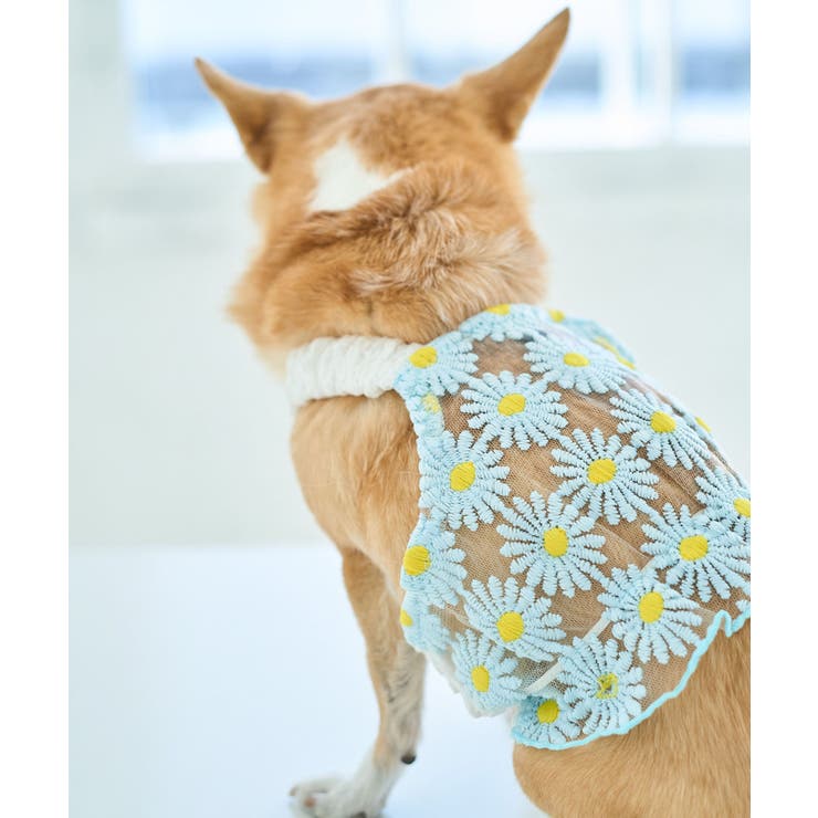 サックス(48) | 【DOG】フラワーキャミソール | ROPE' PICNIC