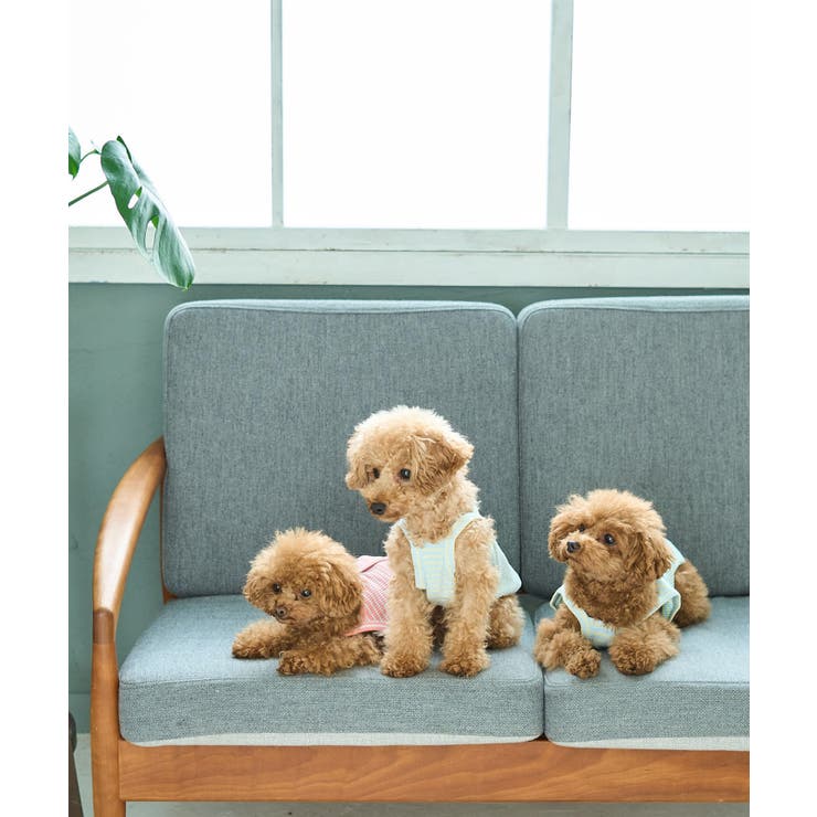 【DOG】マルチボーダーキャミソール | ROPE' PICNIC | 詳細画像10 