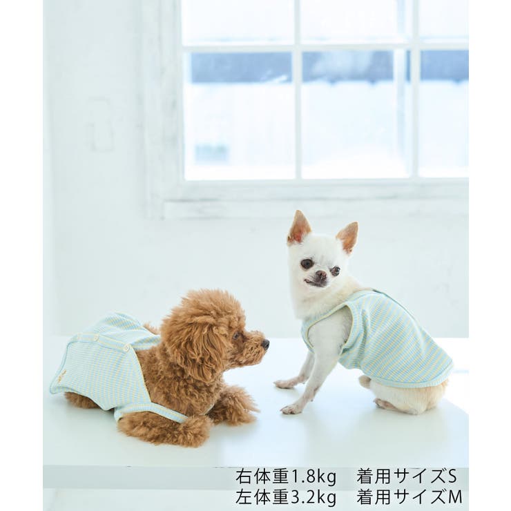 【DOG】マルチボーダーキャミソール | ROPE' PICNIC | 詳細画像4 