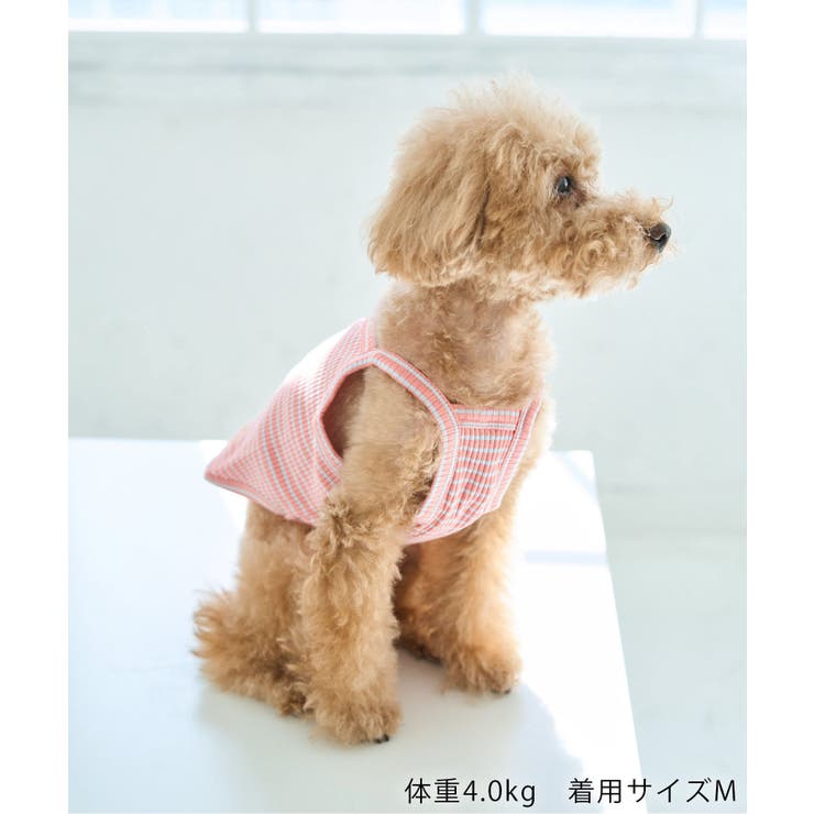 【DOG】マルチボーダーキャミソール | ROPE' PICNIC | 詳細画像5 