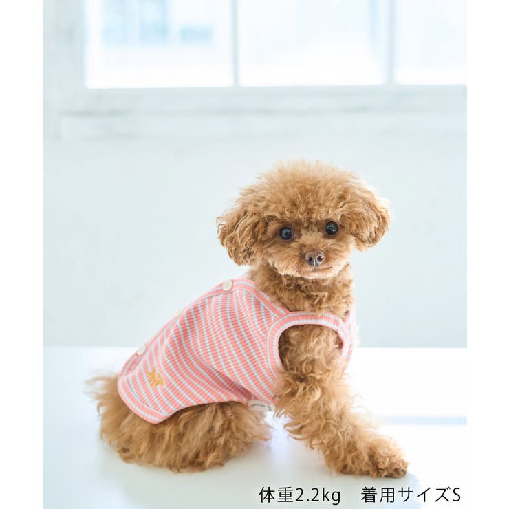 【DOG】マルチボーダーキャミソール | ROPE' PICNIC | 詳細画像7 