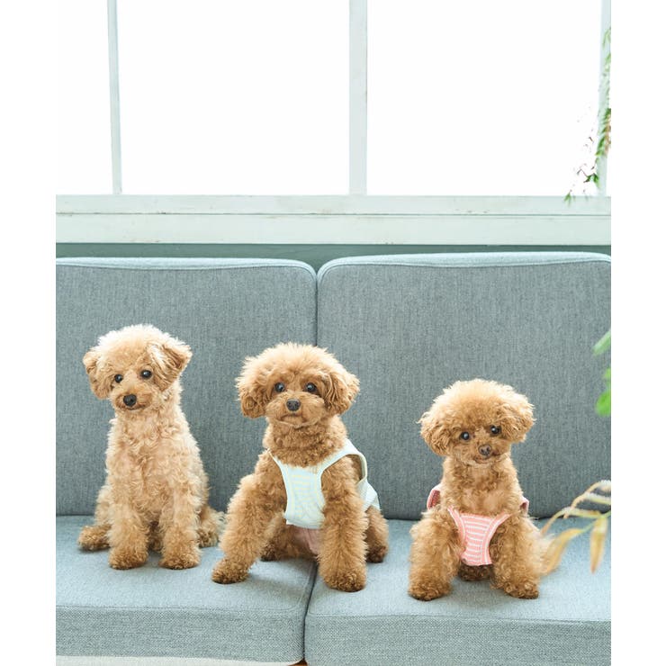 【DOG】マルチボーダーキャミソール | ROPE' PICNIC | 詳細画像9 