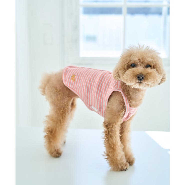 ローズピンク(64) | 【DOG】マルチボーダーキャミソール | ROPE' PICNIC