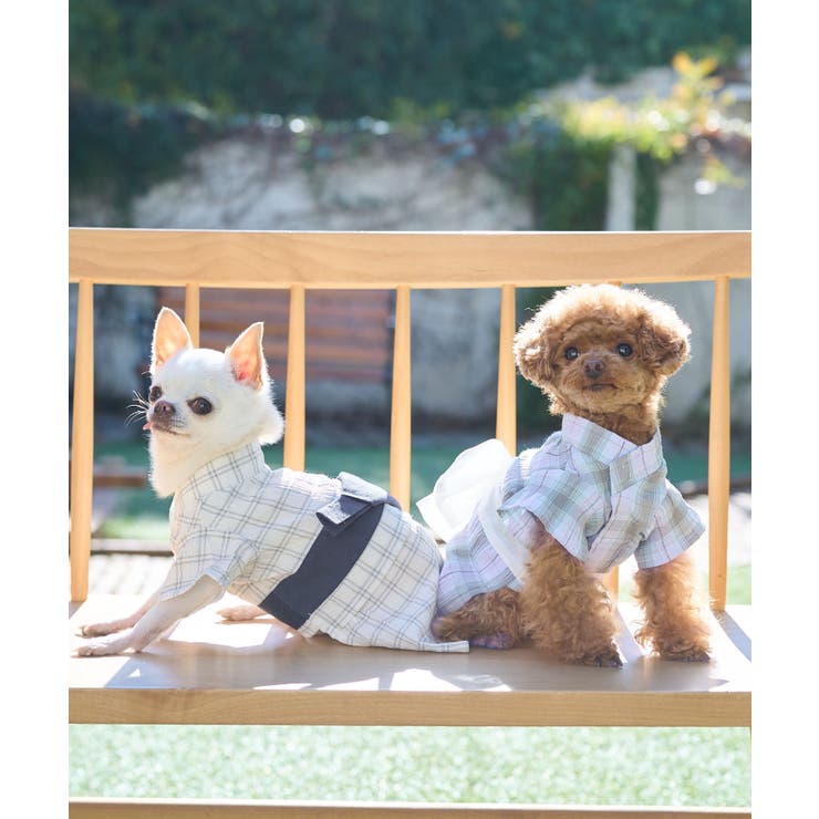 【DOG】チェック柄浴衣 | ROPE' PICNIC | 詳細画像1 