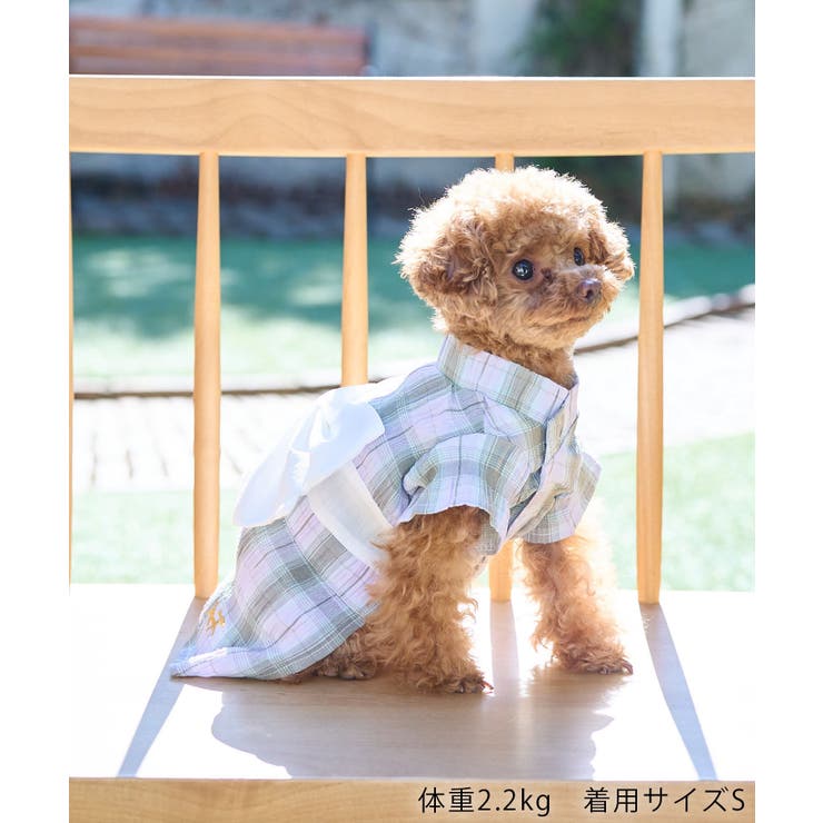 【DOG】チェック柄浴衣 | ROPE' PICNIC | 詳細画像6 