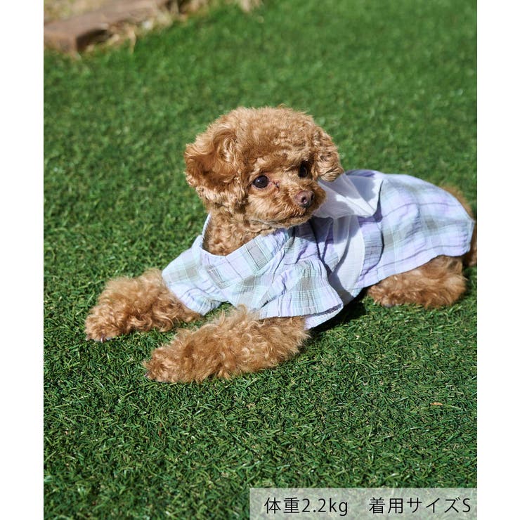 【DOG】チェック柄浴衣 | ROPE' PICNIC | 詳細画像7 