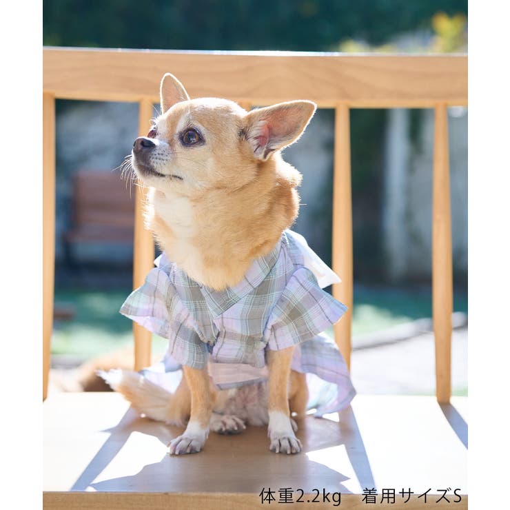 【DOG】チェック柄浴衣 | ROPE' PICNIC | 詳細画像9 