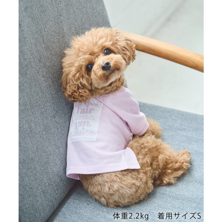 【DOG】ロゴTシャツ/リンクコーデ | ROPE' PICNIC | 詳細画像3 