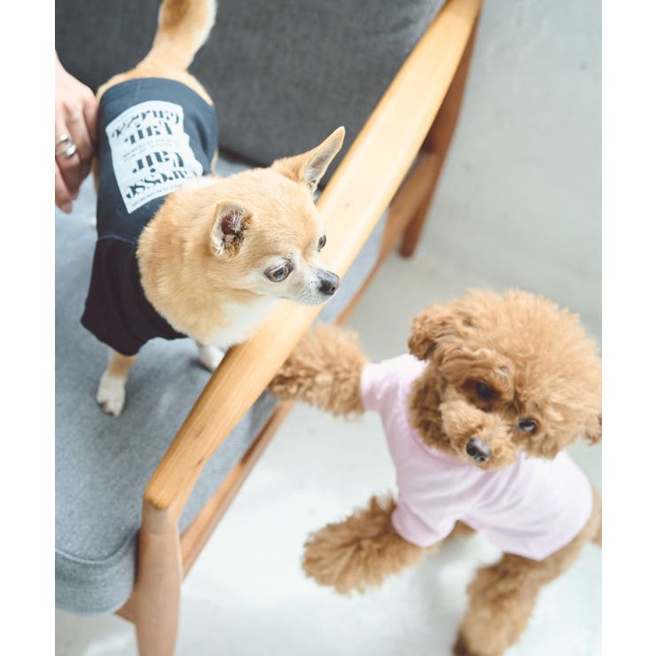 【DOG】ロゴTシャツ/リンクコーデ | ROPE' PICNIC | 詳細画像4 