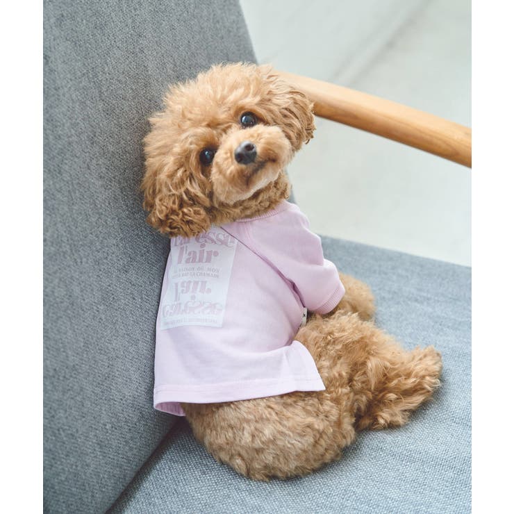ピンク(63) | 【DOG】ロゴTシャツ/リンクコーデ | ROPE' PICNIC