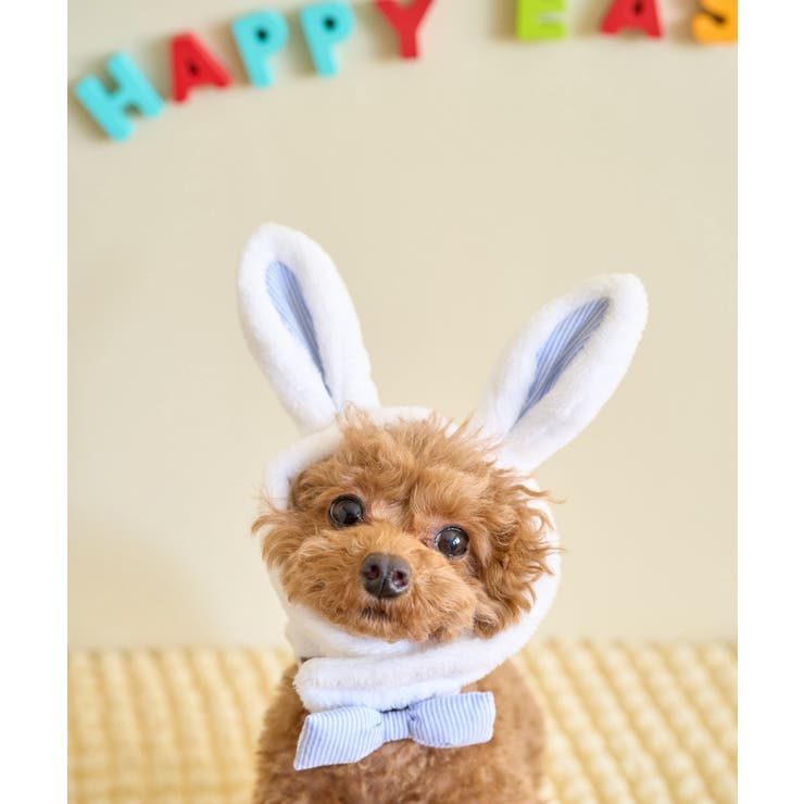【DOG】イースターうさぎ犬 | ROPE' PICNIC | 詳細画像3 