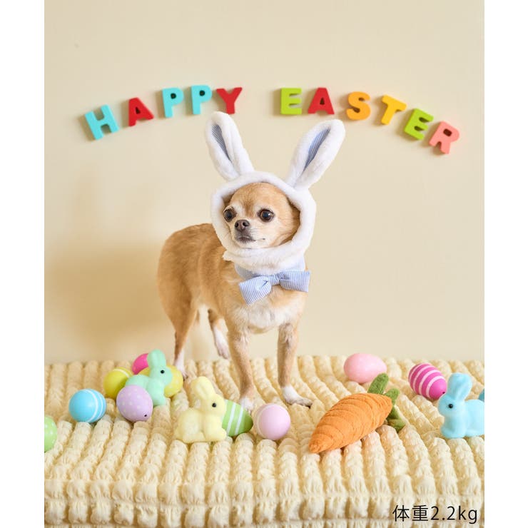 【DOG】イースターうさぎ犬 | ROPE' PICNIC | 詳細画像5 