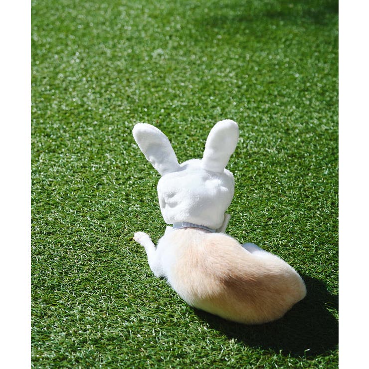 【DOG】イースターうさぎ犬 | ROPE' PICNIC | 詳細画像8 