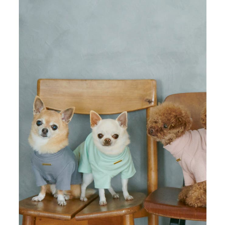 【DOG】カラーリブタートル | ROPE' PICNIC | 詳細画像1 